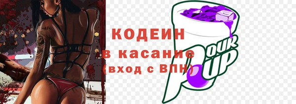 индика Балабаново