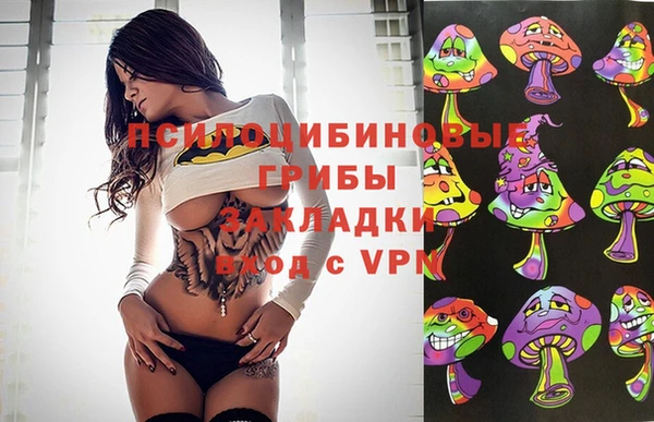 индика Баксан
