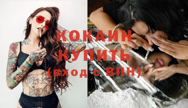 индика Баксан