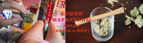 индика Баксан