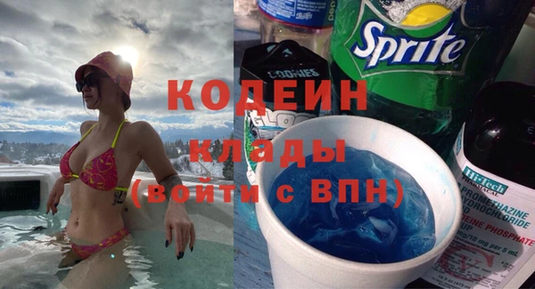 индика Балабаново