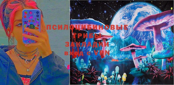 индика Балабаново