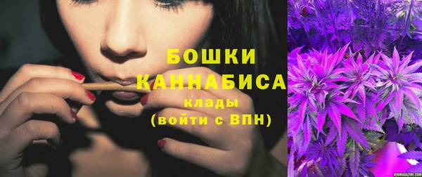 индика Баксан