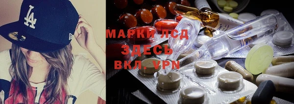 индика Баксан
