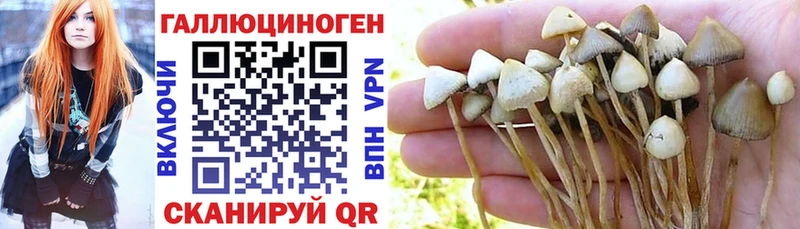 Псилоцибиновые грибы прущие грибы  где продают   Среднеуральск 